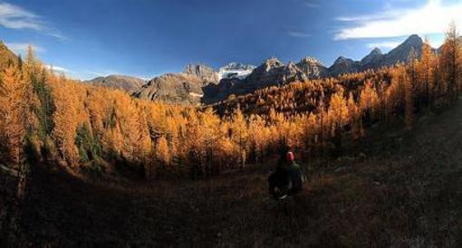 фото отеля Moraine Lake Lodge