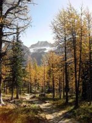 фото отеля Moraine Lake Lodge