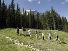 фото отеля Moraine Lake Lodge