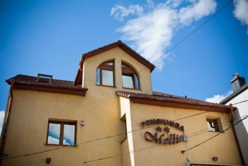 фото отеля Pension Mellis Cluj-Napoca