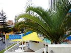 фото отеля Broadbeach Central Holiday Units