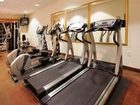 фото отеля Holiday Inn Express Hotel & Suites - Tampa Stadium Airport