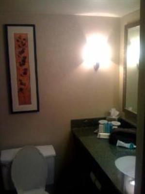 фото отеля Hilton Crystal City at Washington Reagan National Airport