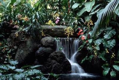 фото отеля Disney's Polynesian Resort