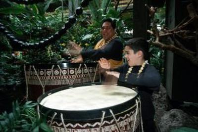 фото отеля Disney's Polynesian Resort
