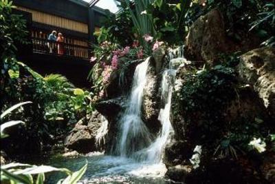 фото отеля Disney's Polynesian Resort