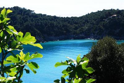 фото отеля Hotel Il Magnifico Elba de Luxe Resort
