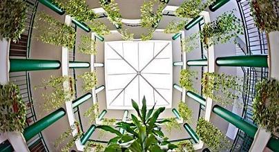 фото отеля Bib-Rambla Apartamentos