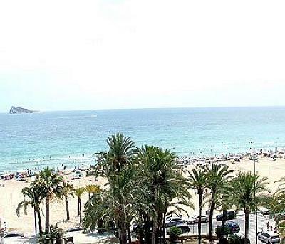 фото отеля Hotel el Palmeral