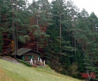 фото отеля Hotel Traube Tonbach