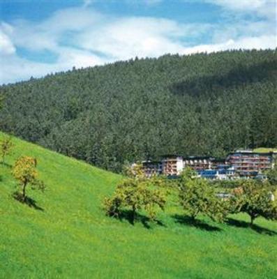 фото отеля Hotel Traube Tonbach