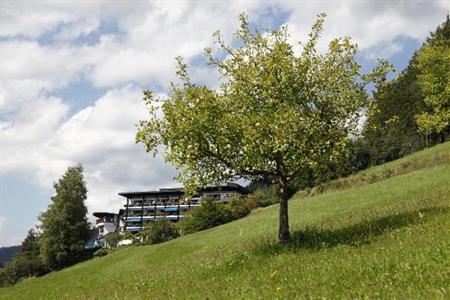 фото отеля Hotel Traube Tonbach