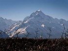 фото отеля Glentanner Park Centre (Mount Cook)