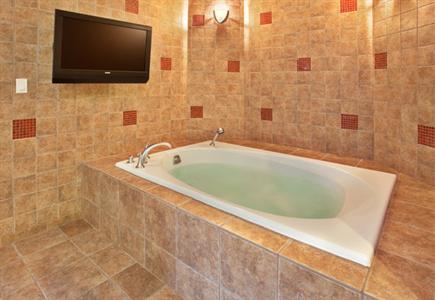 фото отеля Holiday Inn Omaha Downtown Airport