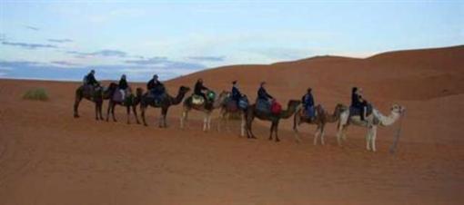 фото отеля Camel Bivouac Merzouga