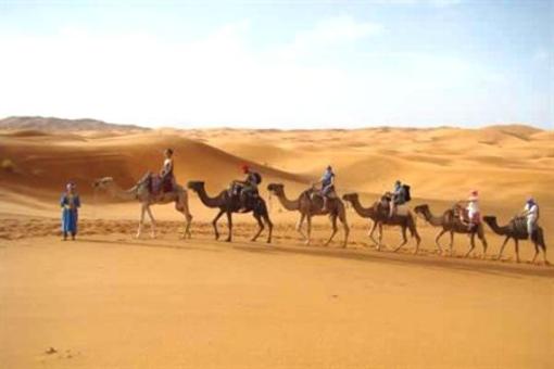 фото отеля Camel Bivouac Merzouga