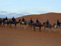Camel Bivouac Merzouga