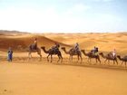 фото отеля Camel Bivouac Merzouga