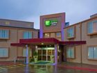 фото отеля Holiday Inn Express & Suites Arlington, TX