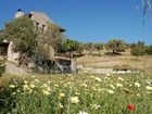 фото отеля Olive Garden Hotel Datca