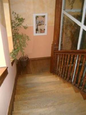 фото отеля Hotel Minerva Freiburg im Breisgau