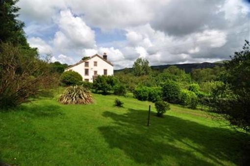 фото отеля Forest How Guest House