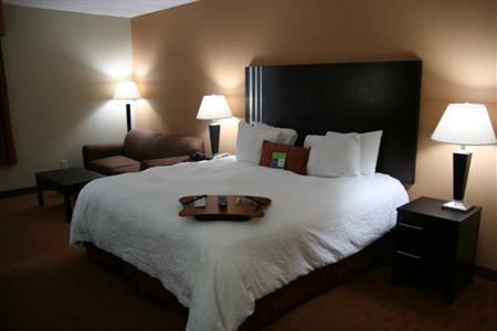 фото отеля Hampton Inn Niagara Falls