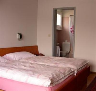 фото отеля Hotel Garni Iris