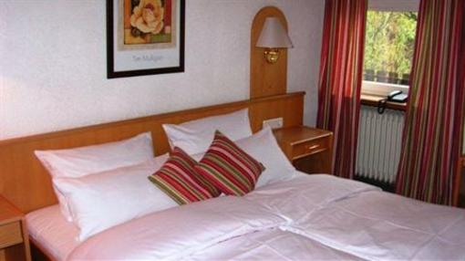 фото отеля Landgasthof & Hotel Zum Schwan