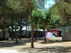 фото отеля Camping Los Pinos