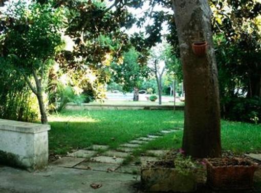 фото отеля Villa Fiore