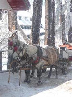 фото отеля Hotel Bor