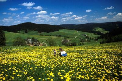 фото отеля Hotel Waldeck Feldberg (Baden-Wuerttemberg)