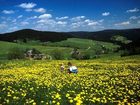 фото отеля Hotel Waldeck Feldberg (Baden-Wuerttemberg)