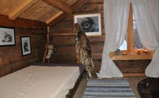фото отеля Arctic Wilderness Experience