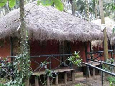 фото отеля Orchid Resort Wayanad