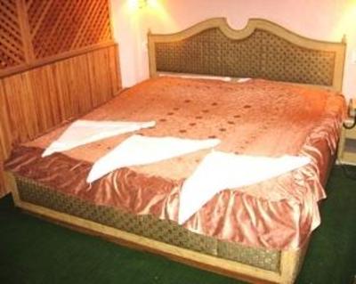 фото отеля Hotel Ankit Palace