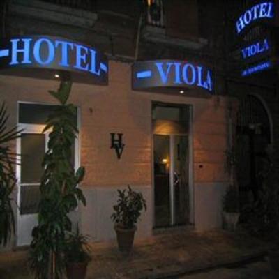 фото отеля Viola Hotel