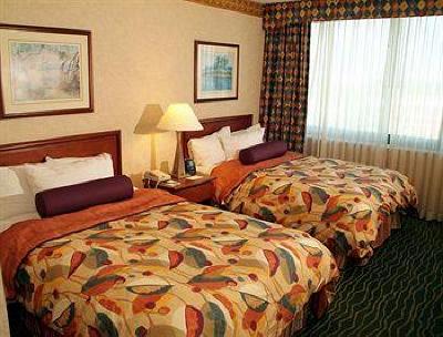 фото отеля Embassy Suites Hotel Tampa-USF/Near Busch Gardens