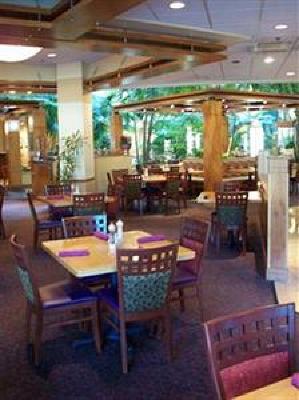 фото отеля Embassy Suites Hotel Tampa-USF/Near Busch Gardens