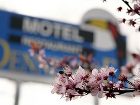 фото отеля Motel Dennenhof  Brasschaat