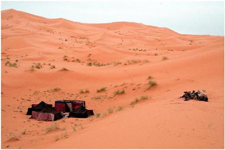 фото отеля Guest House Merzouga