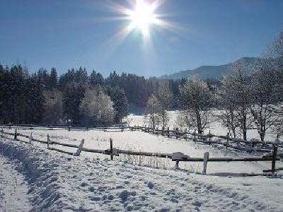 фото отеля Gasthof Ochsenwirt