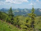 фото отеля AlpenClub Schliersee