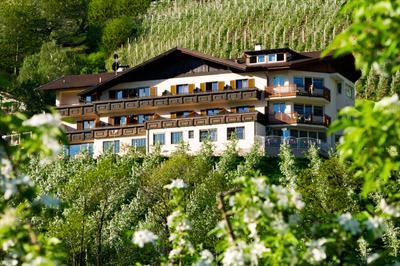 фото отеля Panorama Hotel Garni Bühlerhof Lana