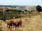 фото отеля Cortijo Barranco Hotel Arcos de la Frontera