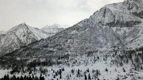 фото отеля Hotel Orchidea Passo del Tonale