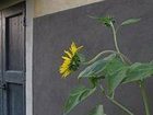 фото отеля Albergo L'Ostelliere