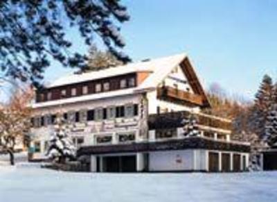 фото отеля Gasthof Pension Cafe Wiesengrund