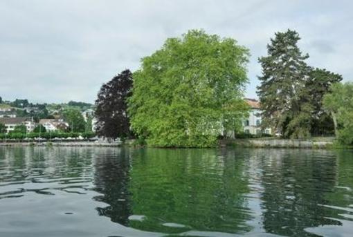 фото отеля Youth Hostel Richterswil